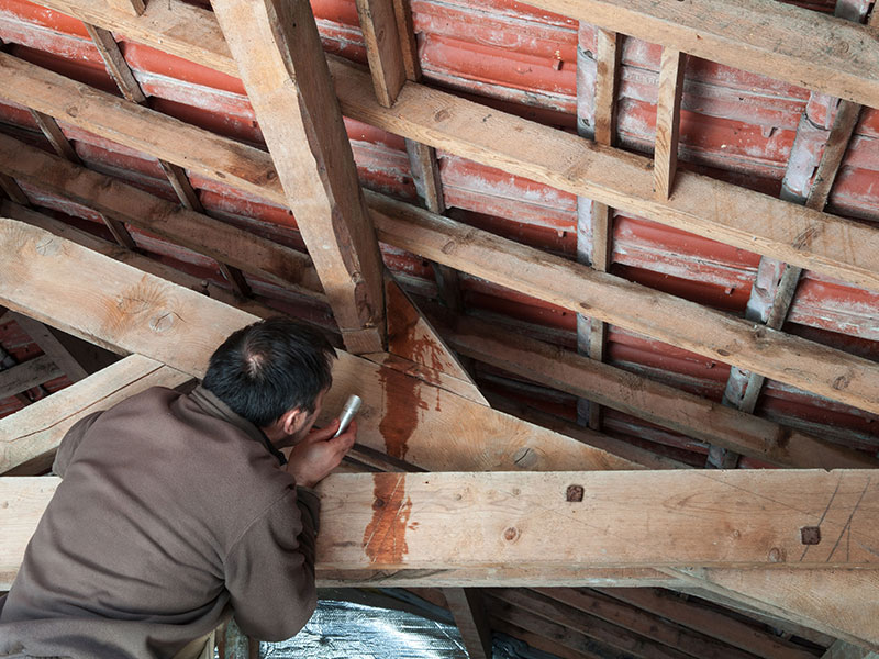 Rénovation : charpentier à Lesparre-Médoc, Saint-Laurent-Médoc Rénovation : charpentier à Lesparre-Médoc, Saint-Laurent-Médoc